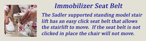 Immobilizer Seat Belt